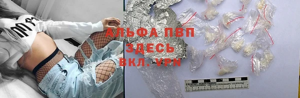 стаф Горняк