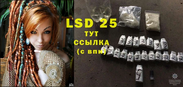 стаф Горняк