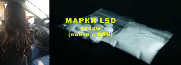 стаф Горняк