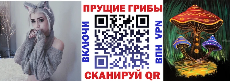 как найти закладки  Данков  Галлюциногенные грибы мицелий 